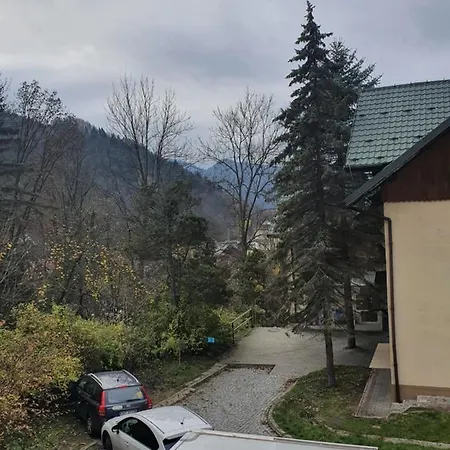 Szmaragdowy *