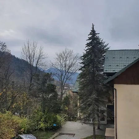 Szmaragdowy *